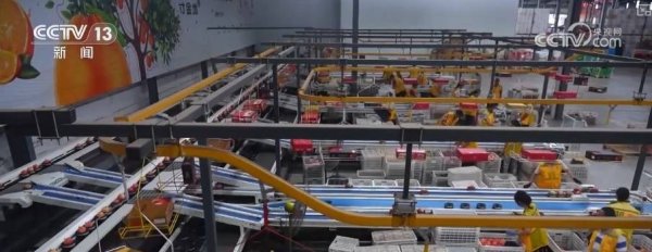 银易配资 “甜蜜产业”出海“闯世界”圈粉无数 透过大数据解锁消费新趋势